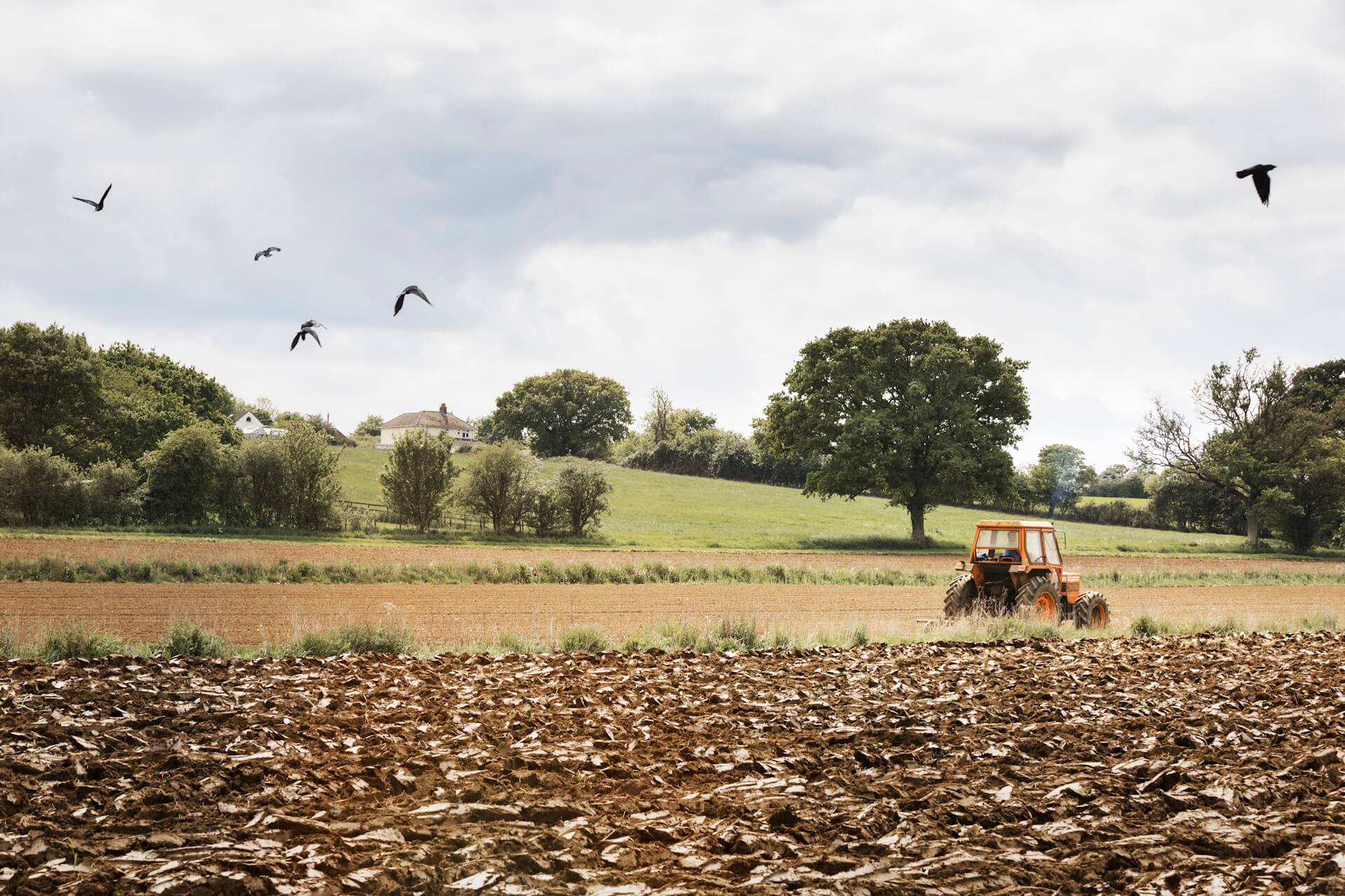 Projet-Ferme-des-Amandiers