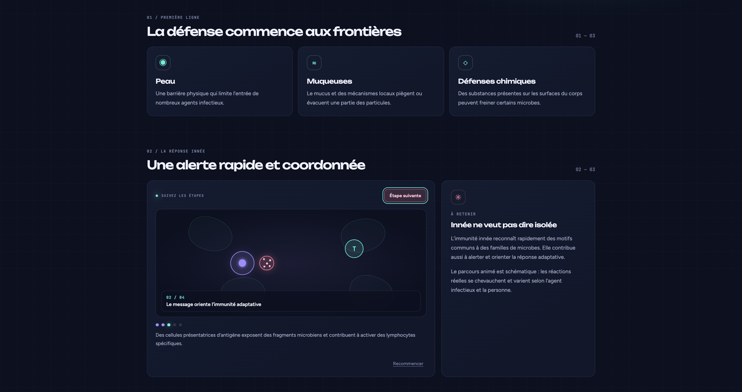 Immune Arena interactive overview of immune defence stages