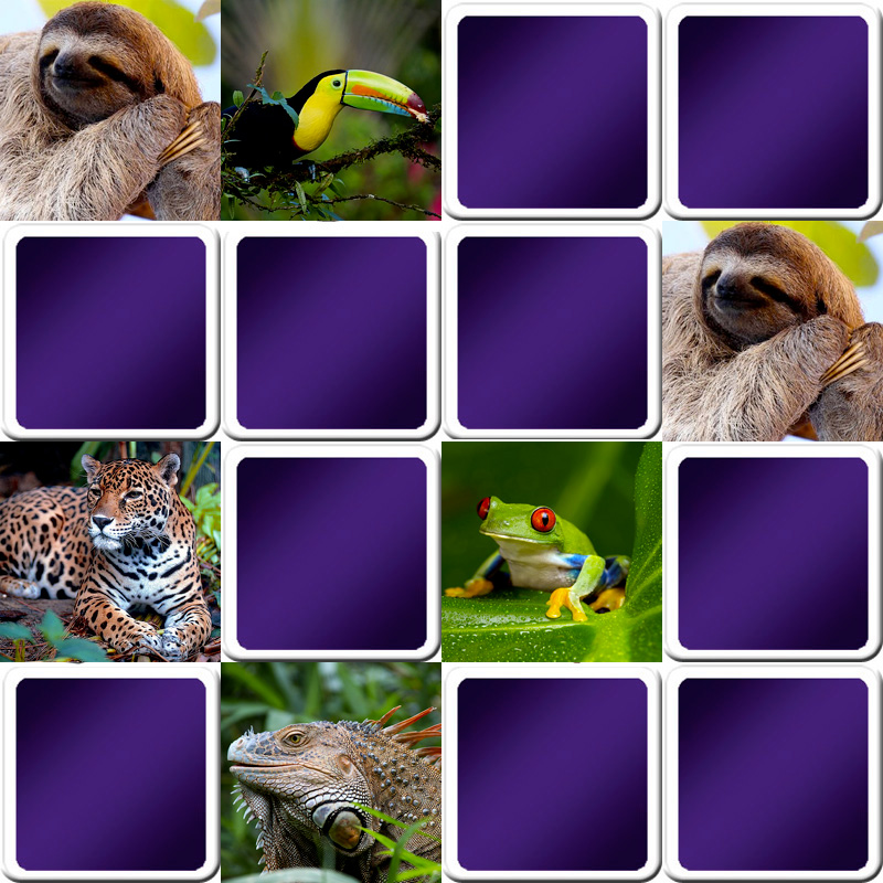 Projet-Memory-Game