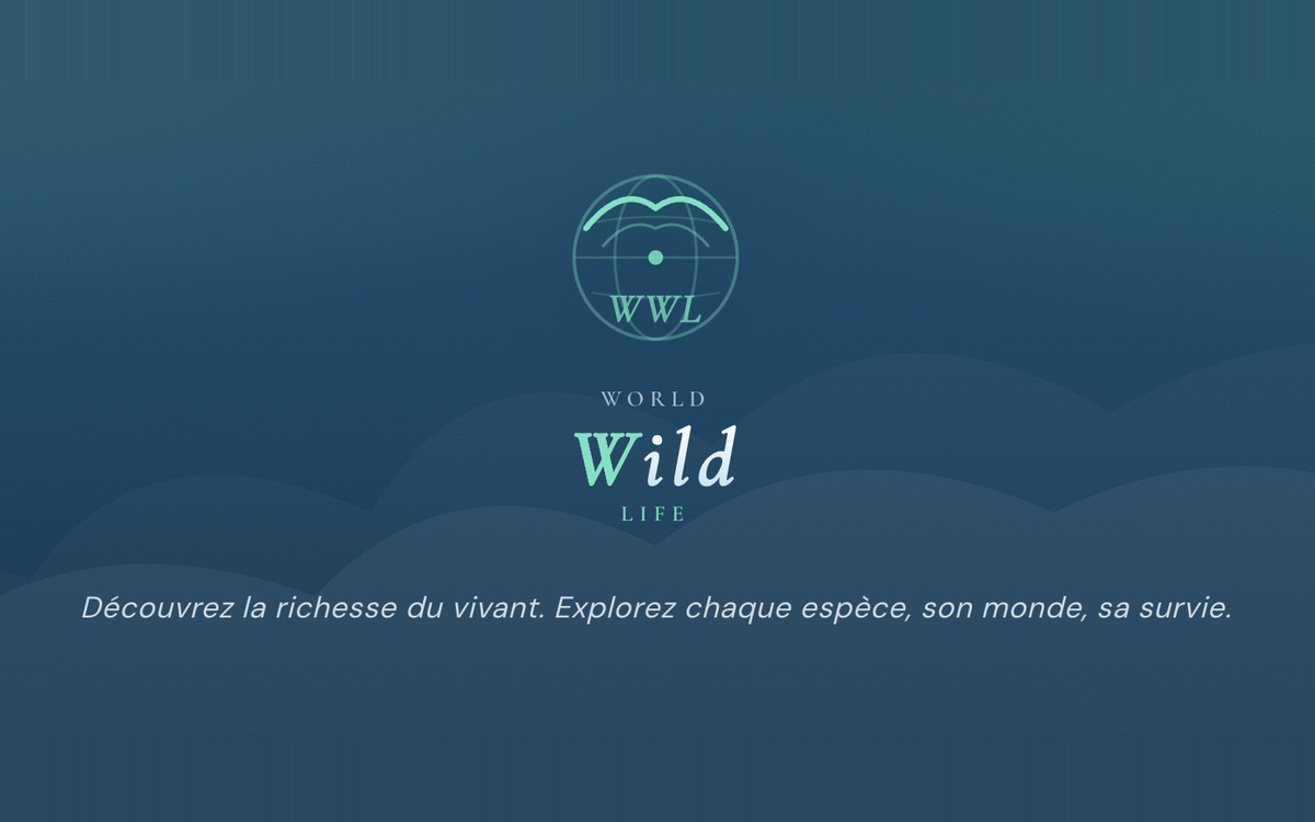 Projet-World-Wild-Life