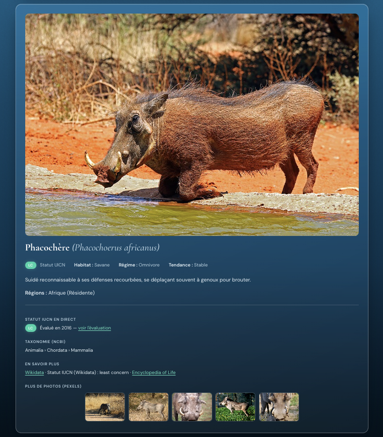World Wild Life warthog species detail page